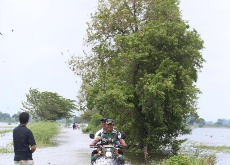 Mentan Andi Amran Sulaiman melihat langsung sawah petani terdampak banjir. -foto: psp.pertanian.go.id-