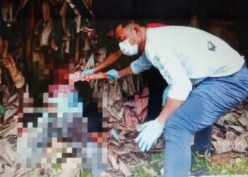 Acara  Gembira Posepa’a Berubah Jadi Duka, Satu Tewas Ditikam Karena Dendam