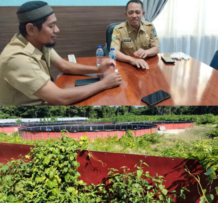Telan Anggaran 2,9 Milyar Proyek Udang Vanamei Tak Terurus