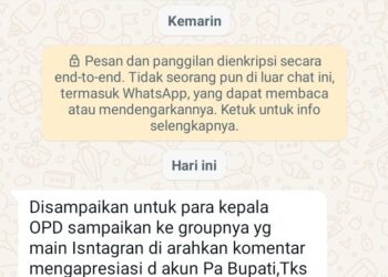 Kabag Protokoler Pemda Wakatobi Kerahkan ASN Counter Viralnya Aksi Peduli Youtuber Denmark Bangun Jembatan di Desa Sama Bahari