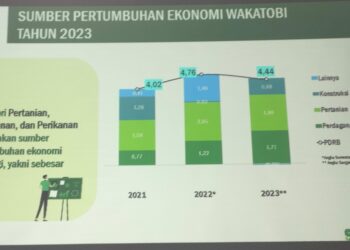 Laju Pertumbuhan Ekonomi Wakatobi 4,44 Persen Tahun 2023