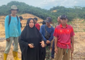 PT Merbau Serobot Lahan Warga Desa Tetesingi