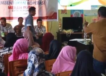 Pengurus Koperasi Merah Putih di Wakatobi Tabrak Aturan, Kadis Koperasi Bilang Sudah Sesuai
